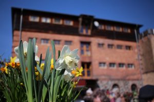 Mehr über den Artikel erfahren 2022 – der Ökospeicher wird klimaneutral