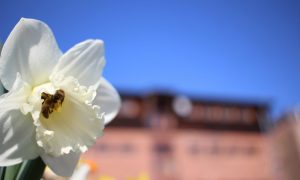 Mehr über den Artikel erfahren Der Ökospeicher e.V. ist klimaneutral