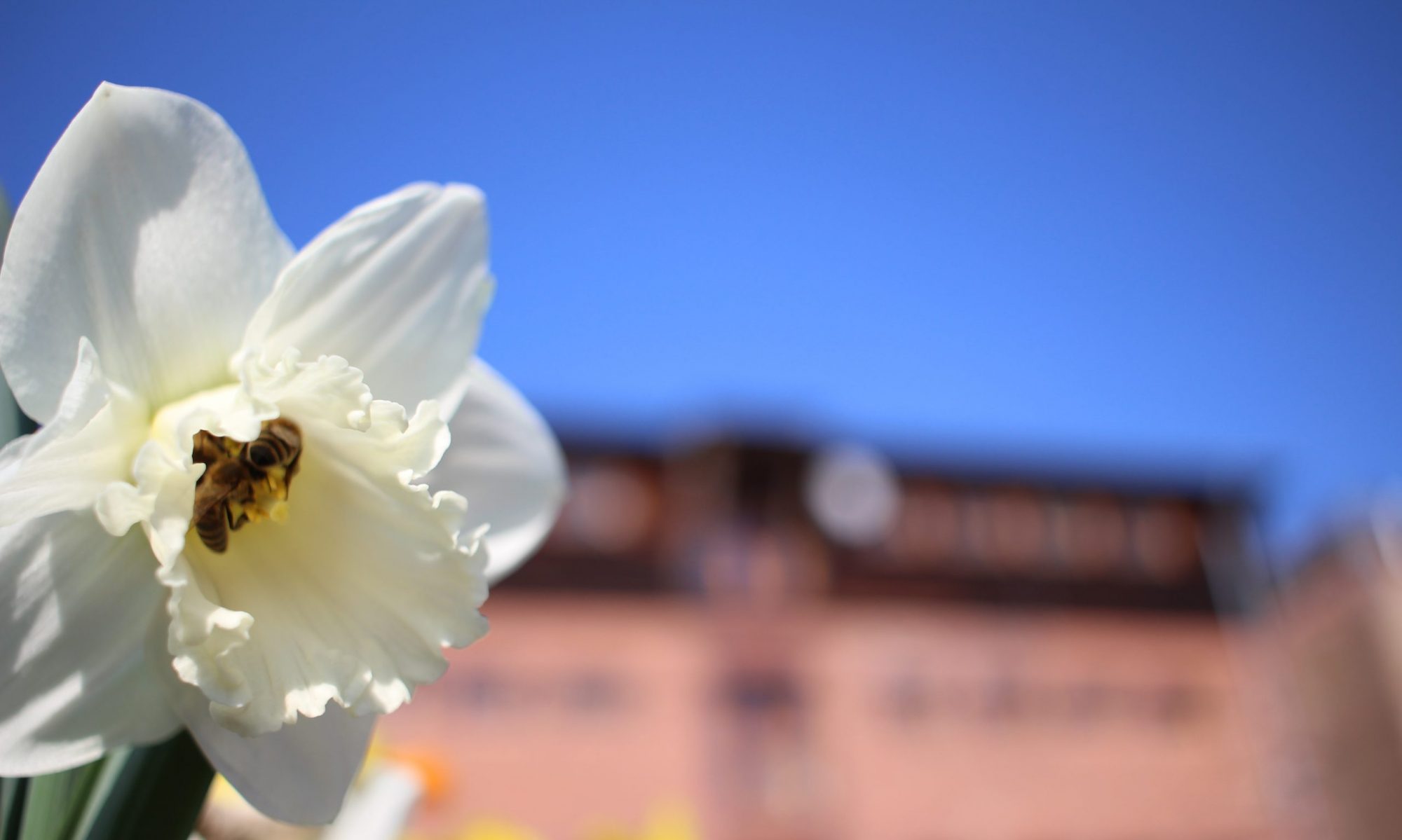 Mehr über den Artikel erfahren Der Ökospeicher e.V. ist klimaneutral