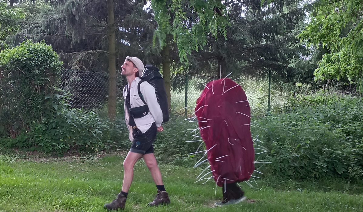 Bakterium wandert durch die Landschaft